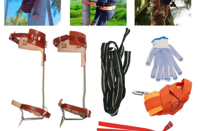 How To Choose Safe Climbing Hunting Ropes for Outdoor Use: A Complete Guide