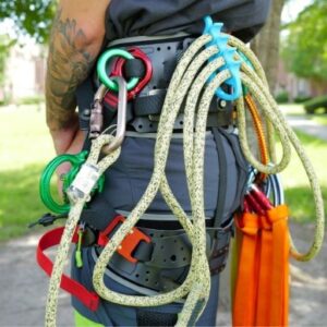 Arborist using a rope kit for safe tree climbing and trimming work