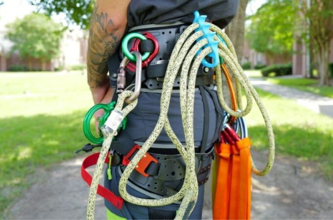 How To Choose an Arborist Rope Kit for Tree Climbing: A Complete Guide