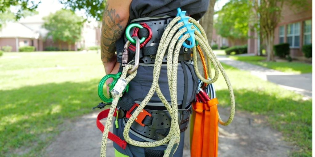 Arborist using a rope kit for safe tree climbing and trimming work